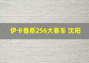 伊卡鲁斯256大客车 沈阳